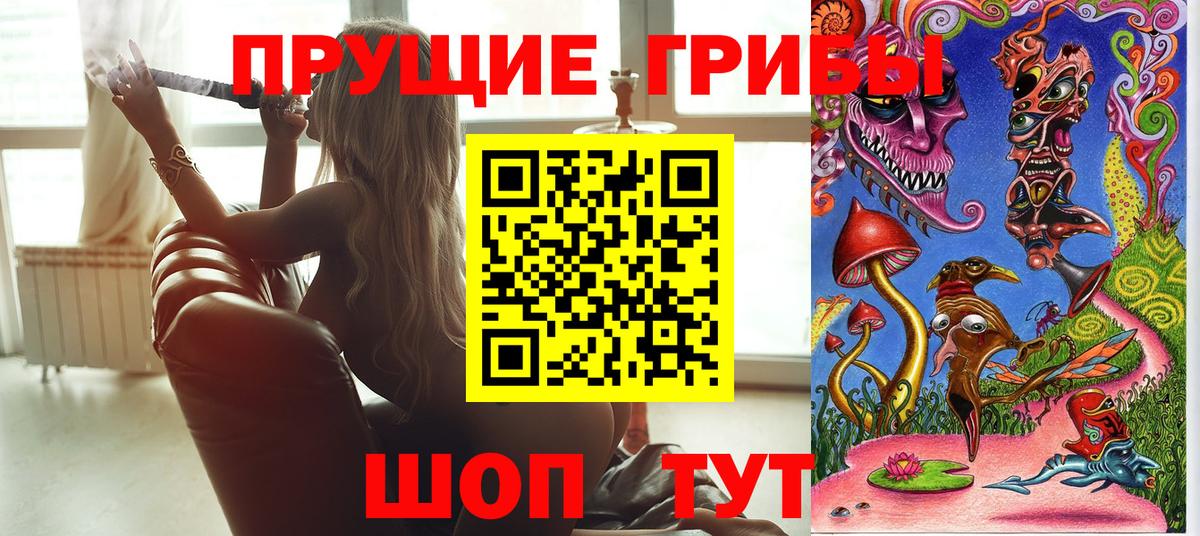 Вышний Волочёк  Галлюциногенные грибы ЛСД  Вход с VPN 