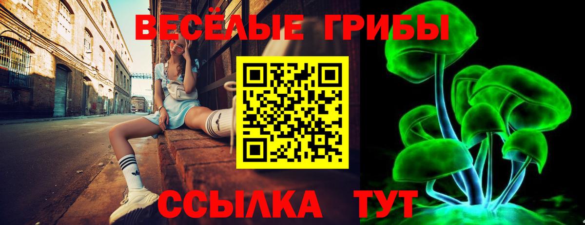 Псилоцибиновые грибы ЛСД Вышний Волочёк